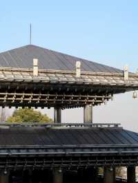 終於也被我拍到了賽博唐朝鈦合金建築