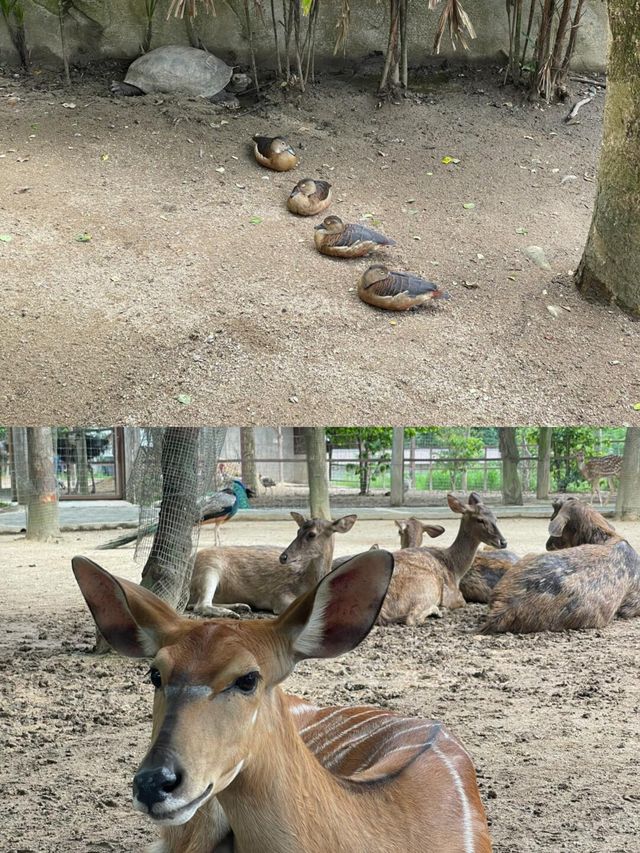 文冬一日遊：吉隆坡近郊的秘境探索
