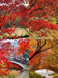 廣州出發1.5h直達廣東紅色天花板