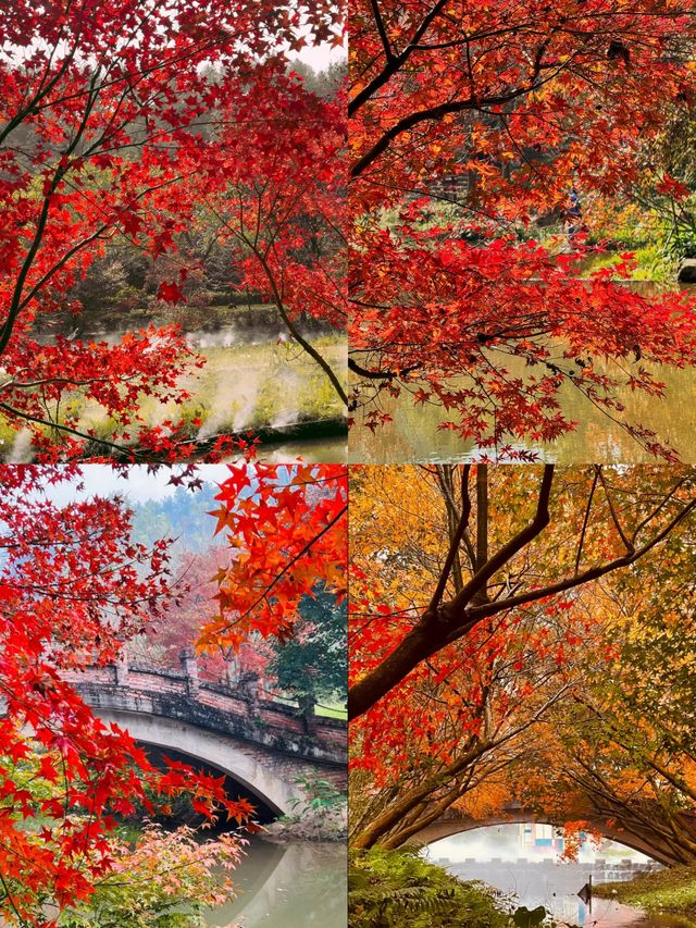 廣州出發1.5h直達廣東紅色天花板