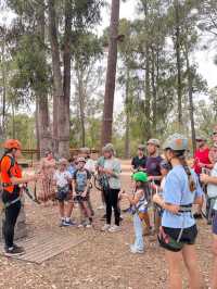 Big Tree Forest Adventure is so Memorable❤️