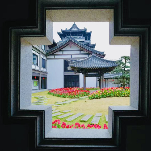 冬季花城廣州與鮮花的邂逅 