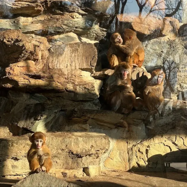 北京動物園25.月慘狀！