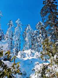 距離成都3小時的冰雪樂園，瓦屋山旅行攻略！