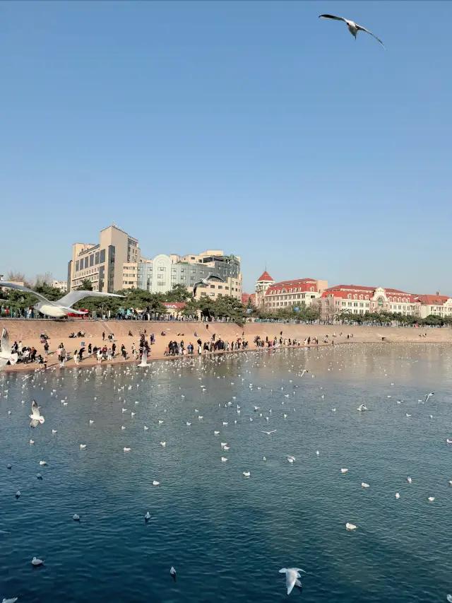 青島旅遊！果然市區都是重點區域喔～