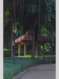 廈門寶藏公園竟然還有人不知道！