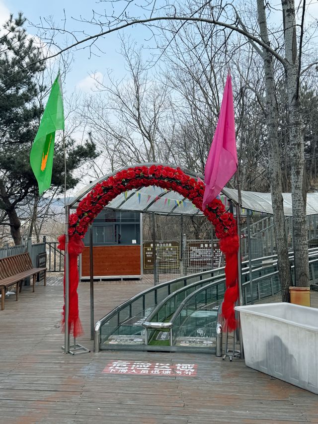 黃島野生動物園 | 與動物邂逅的奇妙之旅