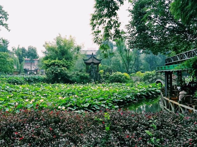 2 Brilliant Days in Magnificent Chengdu: Discovering Sichuan Culture