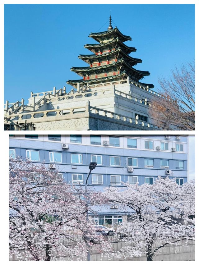 探索首爾，邂逅韓流之都的浪漫與激情