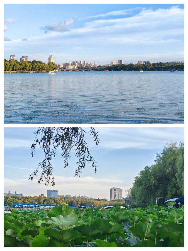 長春：北國春城的魅力之旅