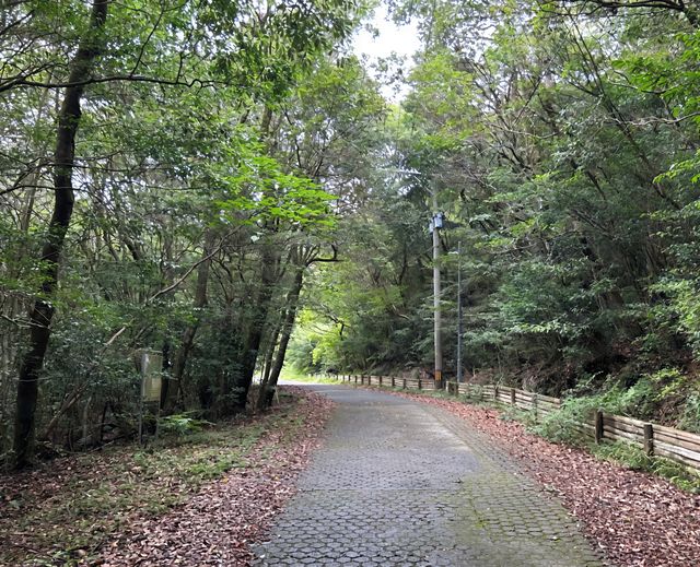 漫步雲仙市天草國立公園｜邂逅一場山海間嘅夢幻之旅