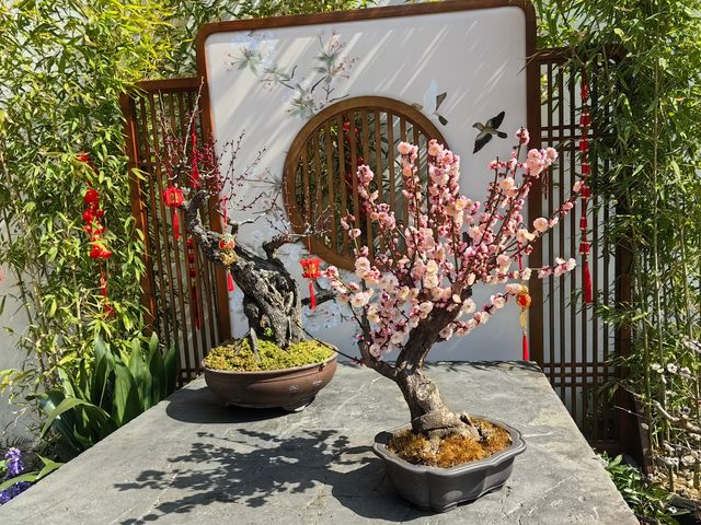 早春二月，展開上海三日遊
