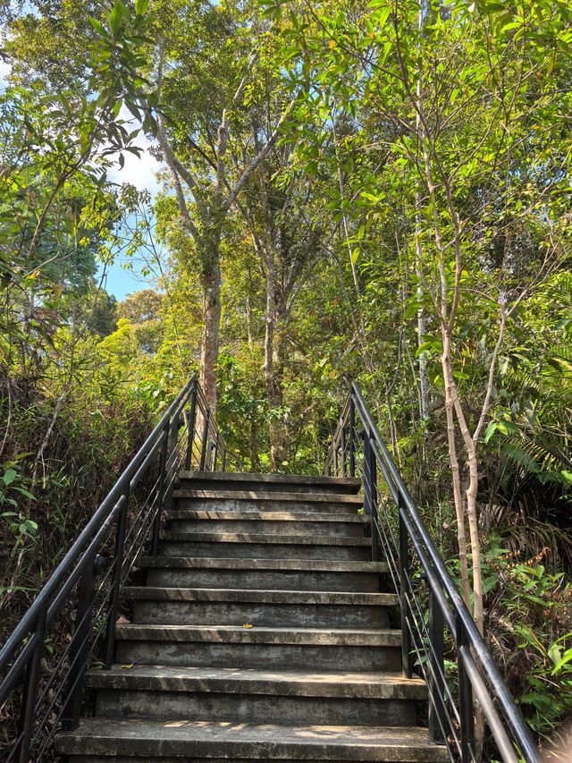 景點地址：檳城升旗山 升旗山森林公園 檳城極樂寺