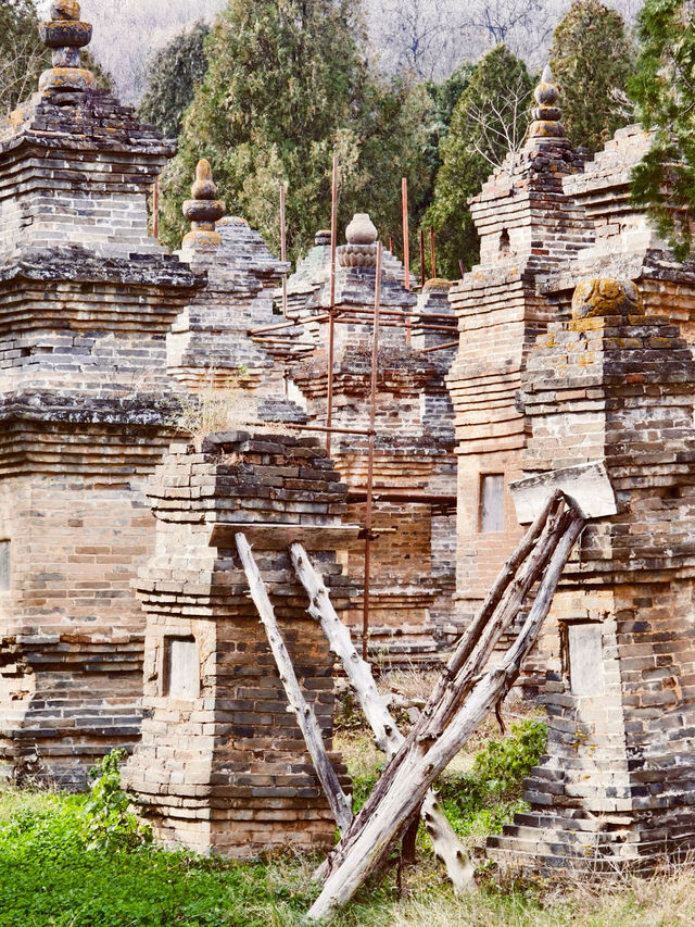 鄭州｜少林寺｜千年禪武的時光秘境