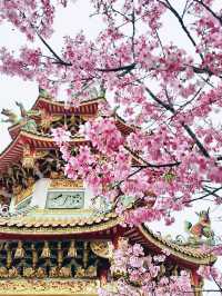 【新北林口竹林山觀音寺】寺廟遊也能超美的！