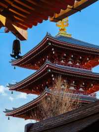 東京兩日遊：打卡、購物、美食全攻略！