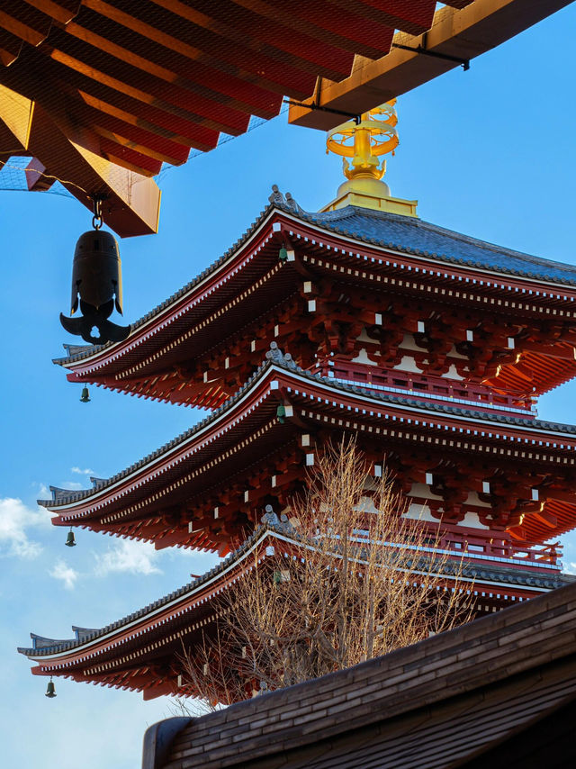 東京兩日遊：打卡、購物、美食全攻略！