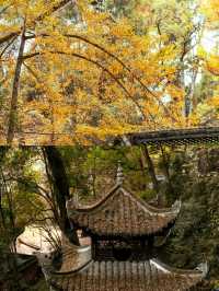 貴州呢座被遺忘嘅明代古建，人少景靚