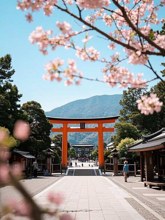 赴廣島之約，共賞四日櫻花爛漫