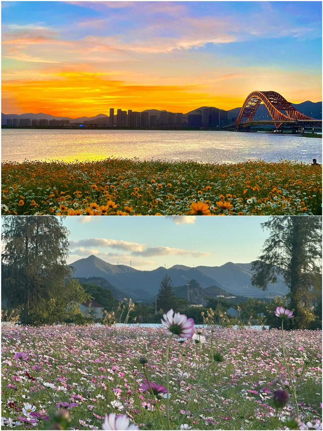 接下來嘅寧波 真係靚到喊