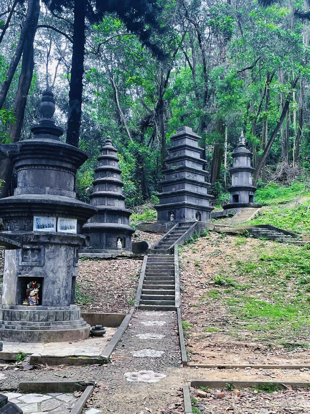 與童年見個面，赴十幾年之約