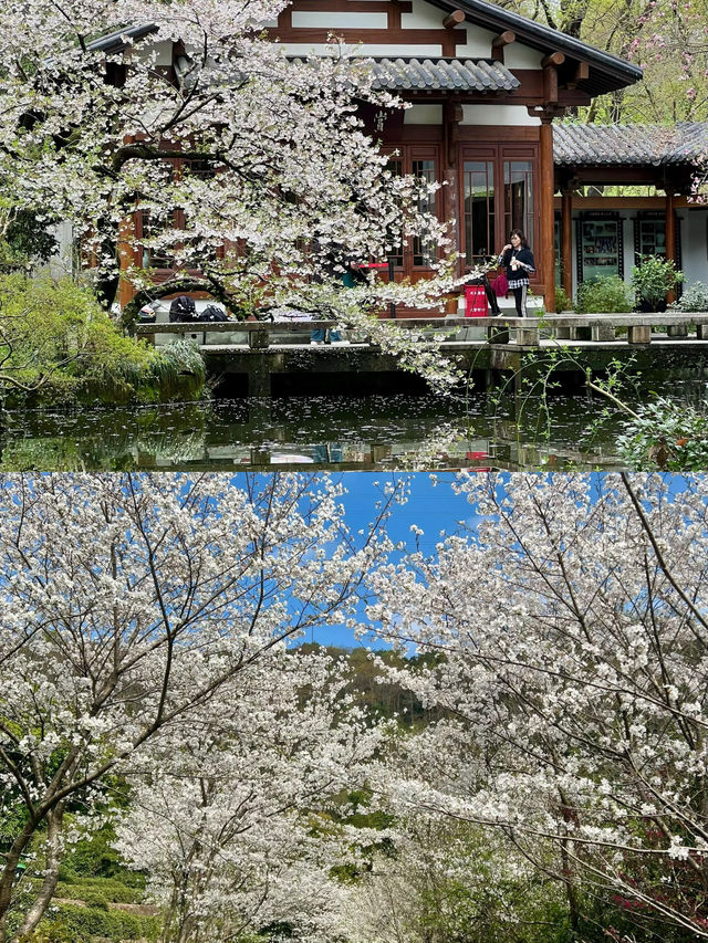 來趟杭州吧