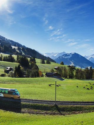 12-Day Tour of Germany, France, Italy, and Switzerland: A Super Detailed Guide Is Here!