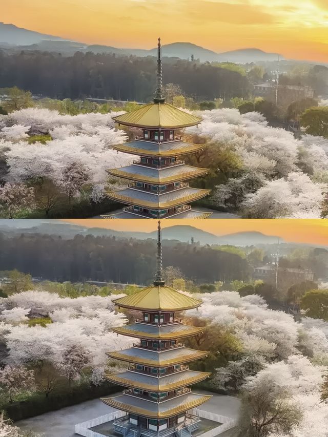 童話裡都是騙人的？不，真相遠比你想像的更離奇