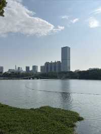 南寧南湖公園：免費的城市自然瑰寶