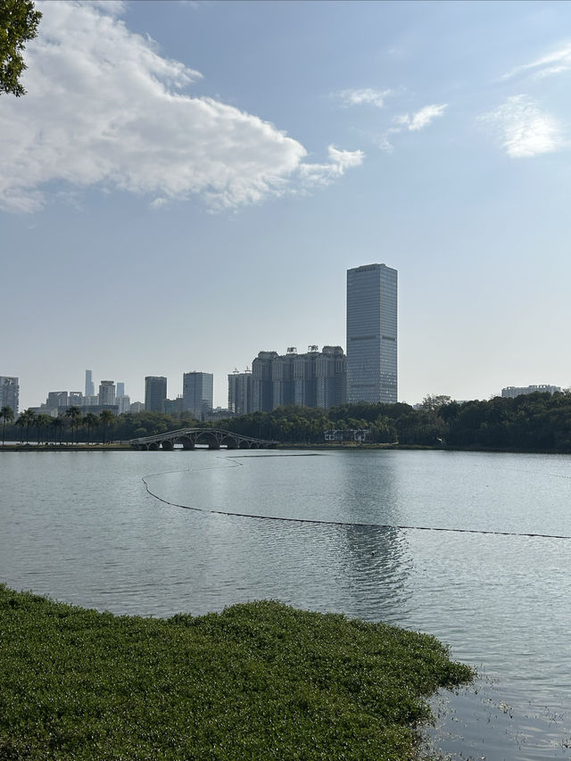 南寧南湖公園：免費的城市自然瑰寶