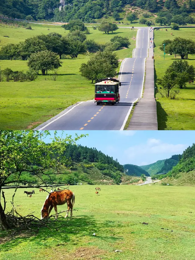 Wulong Two-Day Tour Practical Guide: Super Detailed Itinerary