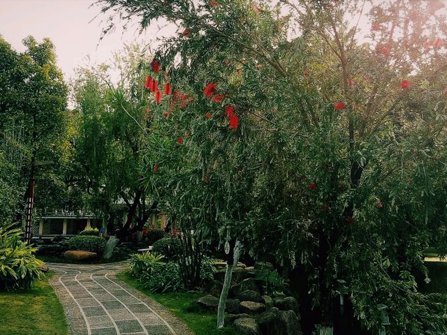 Romantic Spring in Charming Foshan: Public Parks as Shelters of Tranquility