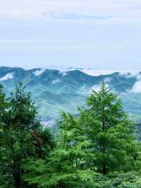 春日山野來信｜莫干山竹林秘境溫泉+度假。