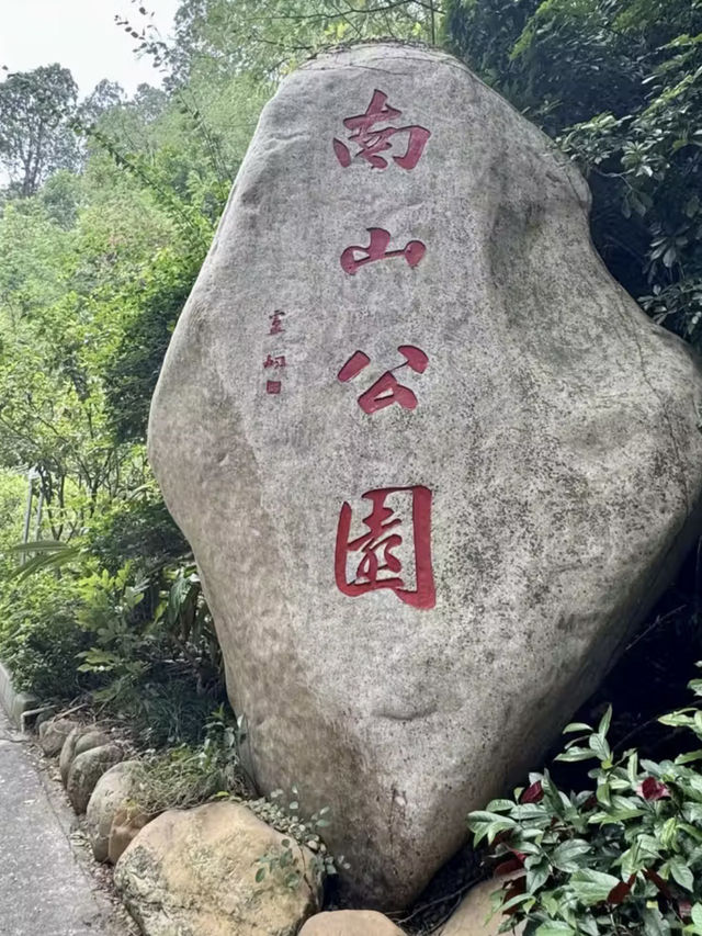 城市與山的對話