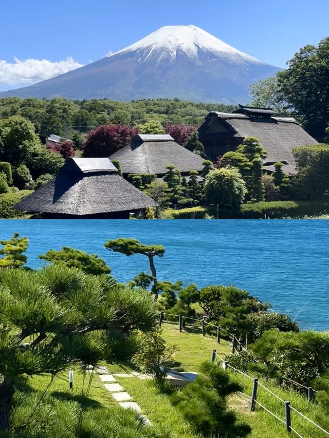 走進泉佐野市，開啟一趟自然與美食的奇妙之旅