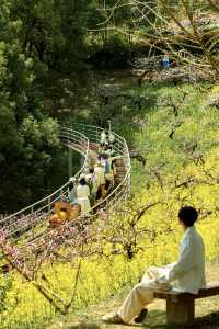 冇去婺源人逼人，湖州都可以上春山