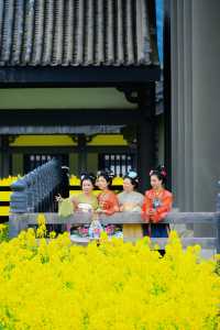 成都周邊｜花香四溢，邂逅浪漫春日
