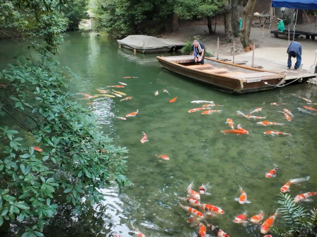 日本22日遊——香川縣 高松市