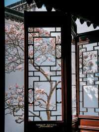 Experience the Enchanting Spring in Suzhou