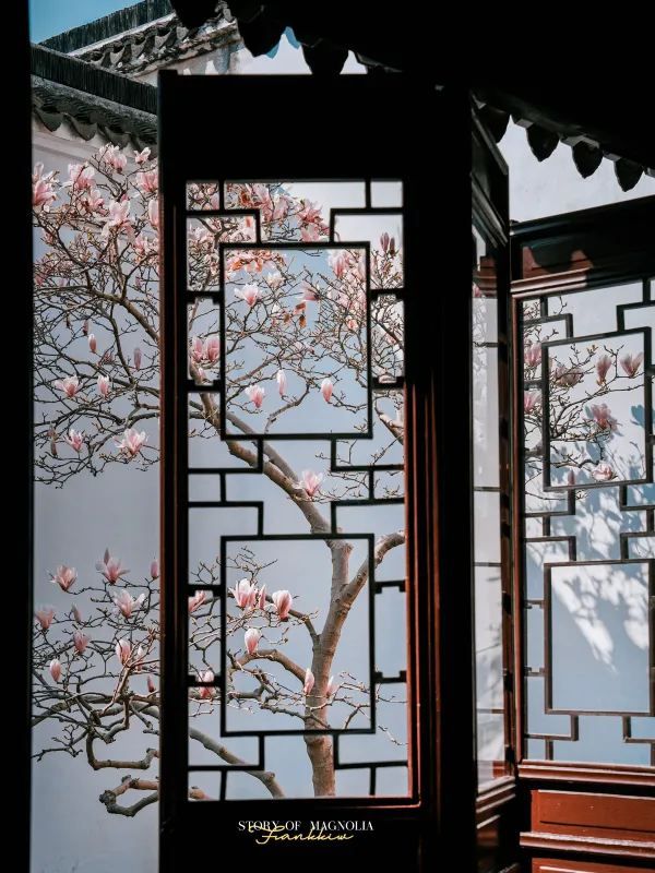 Experience the Enchanting Spring in Suzhou