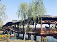 雄安寶藏公園 | 悅容公園保姆級遊玩攻略