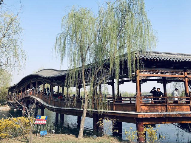雄安寶藏公園 | 悅容公園保姆級遊玩攻略