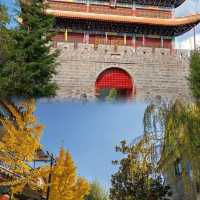 Folks, you must stay at this place when traveling to Chuxiong! It's absolutely amazing!