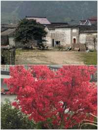 宣城之旅已結束，真心不建議4月去