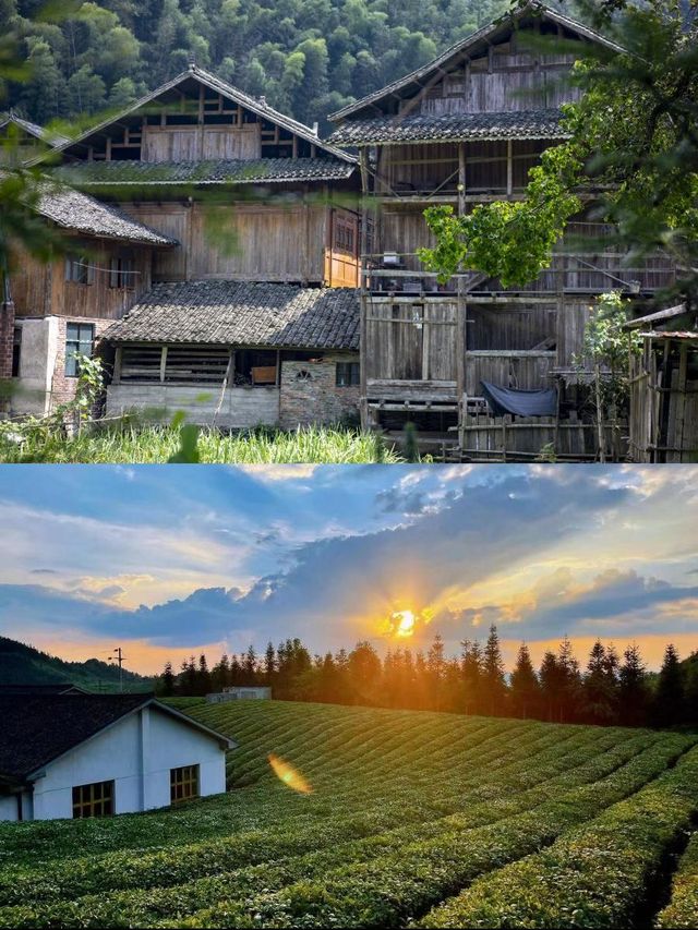 龍形沖民宿，躺看茶山星空
