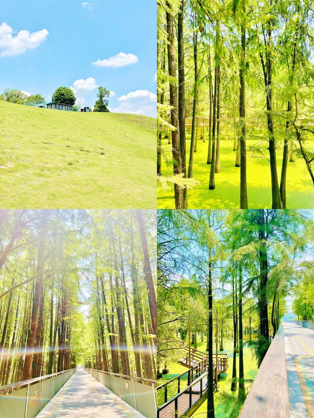 五一去杭州青山湖 攻略來啦