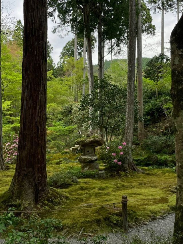三千院