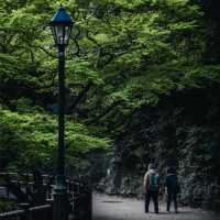🇯🇵大阪秘境｜箕面大滝：城市近郊的森系療癒步道🌿