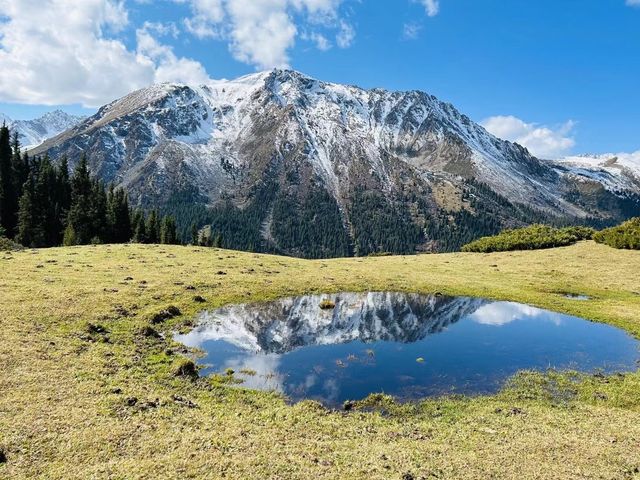 4.23烏魯木齊天山天池 踏青自由行的一天