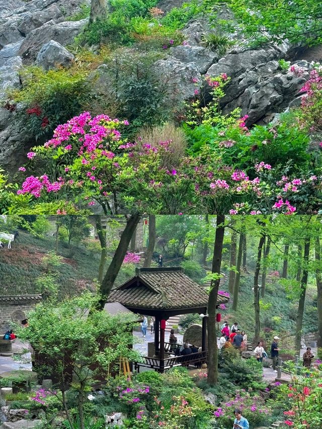 銅陵永泉小鎮 | 春日帶父母嘅暖心遊